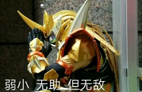 【假面骑士表情包03】"我只是个路过的假面骑士,你们给我记好了!