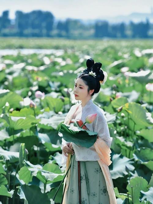 麒麟水乡荷花_荷花_夏天去哪玩_麒麟水乡_夏日荷花_摄影_写真