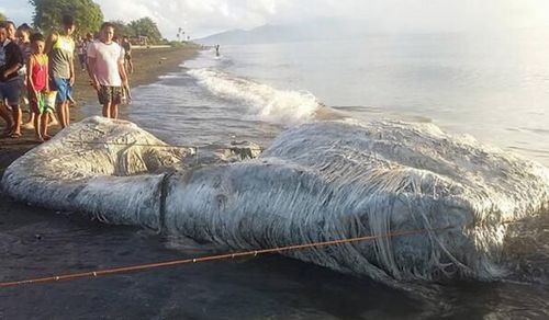 远古海底最恐怖的生物 十大恐怖海怪传说