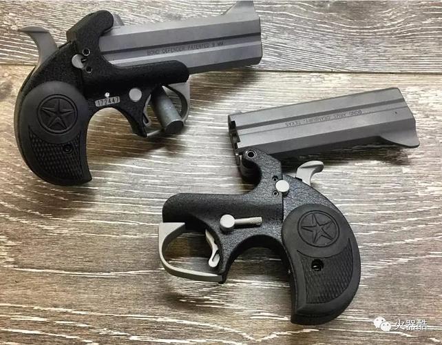 【往期精选】掌心雷 bondarms公司德州防御者系列手枪图集