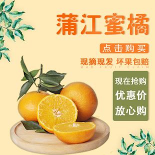 蒲江蜜橘果园现摘新鲜橘子酸甜新鲜应季水果蜜橘嫩甜多汁