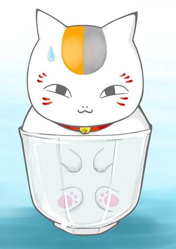 猫咪老师