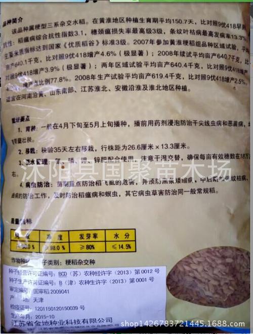 批发郑旱6号高产旱稻种子 稻谷种子水稻种子高产高抗病稳产1400斤