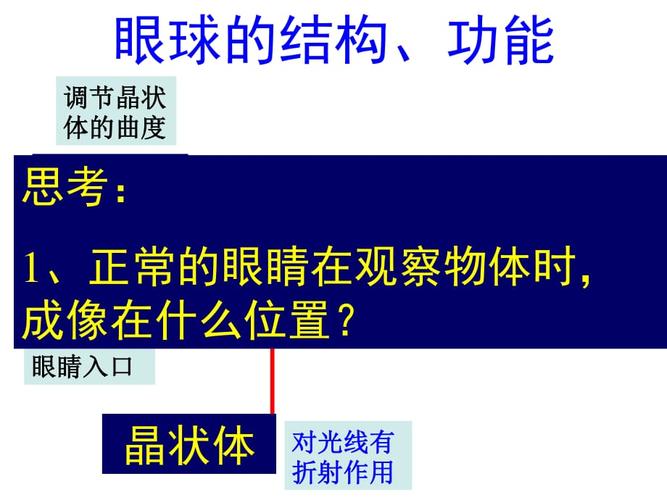 眼的成像原理视力矫正
