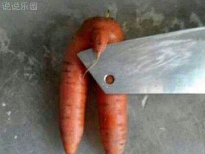 一休其实是个讨厌男生的人,不然怎么会一直大吼着"割鸡割鸡割鸡割鸡割