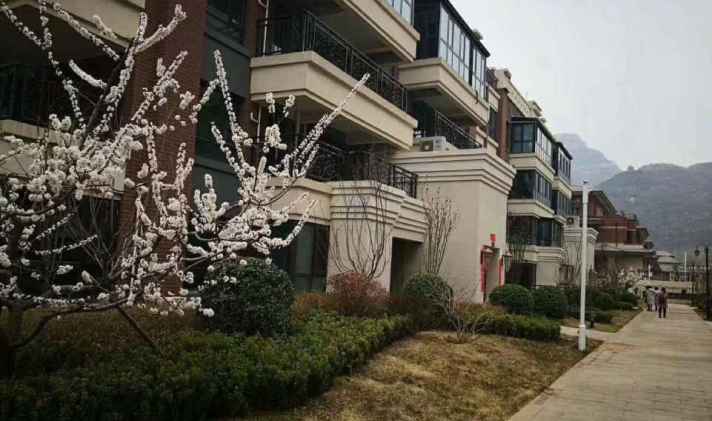 鹿泉 大者(别墅) 4室3厅2卫 220平米