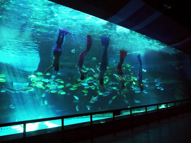 [转载]游泉城海洋极地世界记实