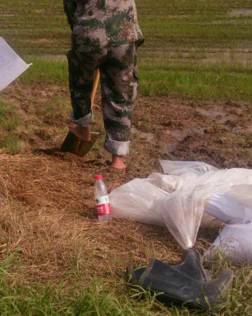 穿着笨重的雨靴很不方面,而抢险工作刻不容缓,为了加快速度,他们光起