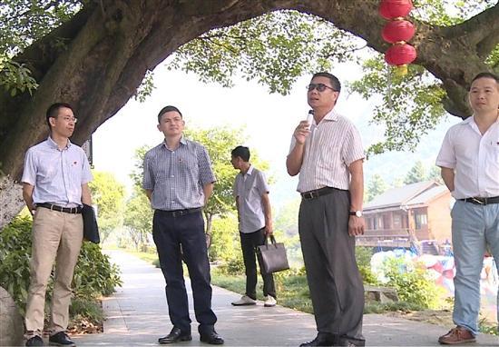 塘下镇开展富美罗山党建示范带"互学互比"活动