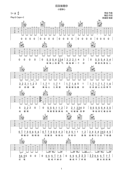 小蓝背心《目及皆是你》吉他谱
