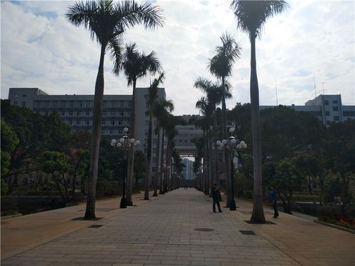 西大建校90周年 想来广西大学游玩的朋友,小猫给一些友情提示:一是
