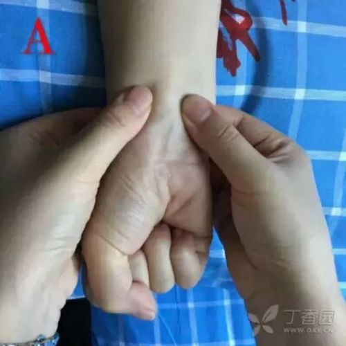 艾伦(allen)试验的步骤