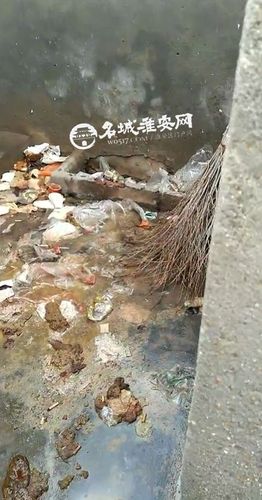 爆料博里镇这边的公共厕所真是太太太太脏了