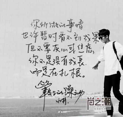 靳东王凯杨幂井柏然 盘点颜值高写字还好看的明星