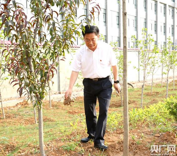 县委书记杨跃民等来到这里,立即投入到活动当中.