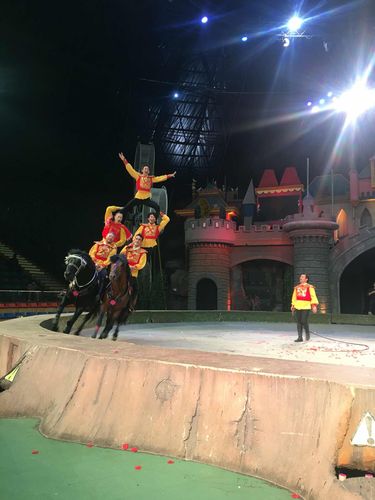 常州淹城野生动物园   成人票(送马戏表演 观光小火车)