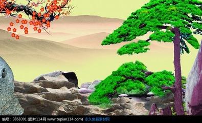 松树梅花竹林手抄报 手抄报图片大全集