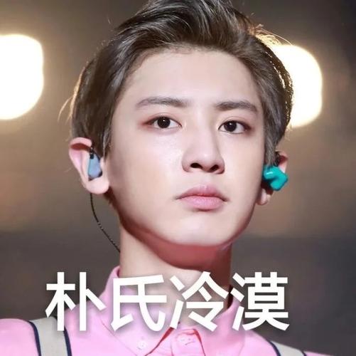 exo沙雕表情包:我希望你满目星河却唯独向往我|exo|表情包