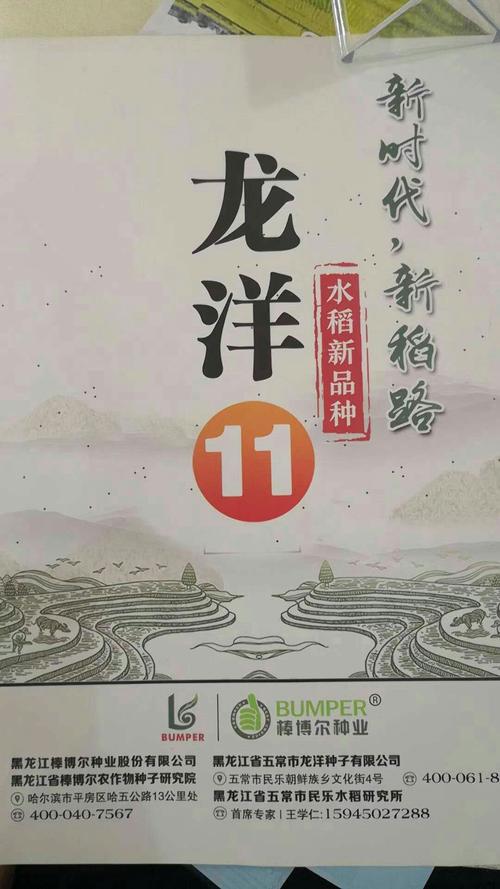 龙洋11细长粒.经销地址:三江口种子商店电话15331876333