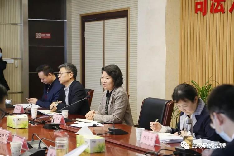 武汉新洲法院 在汇报会上,新洲区委副书记朱亚对区法院的工作表示肯定