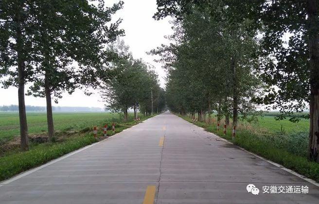 宿州市灵璧县县级公路——薄山路 宿州市泗县县级道路——陈杨路