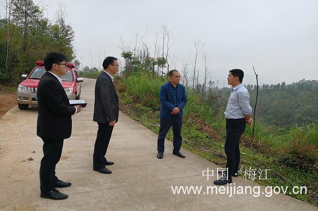 区政府副区长钟建兵到长沙镇调研指导工作