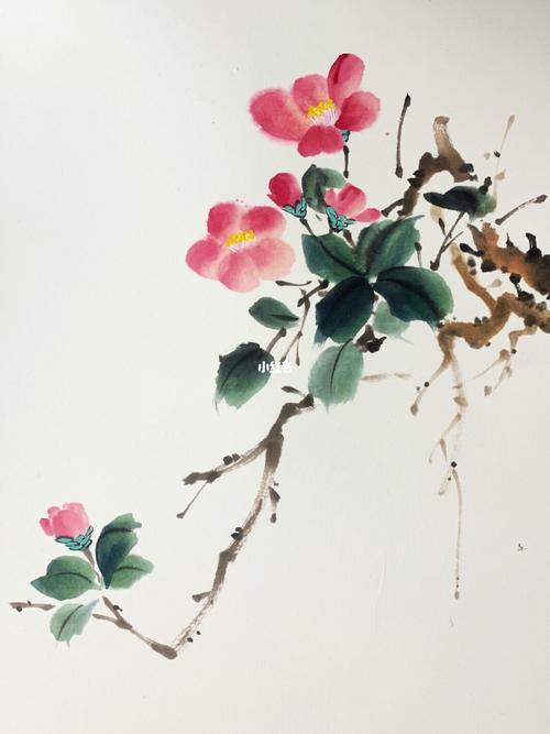 国画-山茶花发争芳菲_山茶花_毛笔_钛白_牡丹_中国传统_国画教程_知识