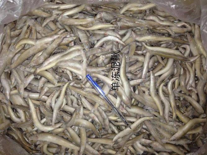 冷冻 单冻 泥鳅 小河鱼 泥鳅 冷冻河鲜 泥鳅鱼 鱼类水产1箱16斤