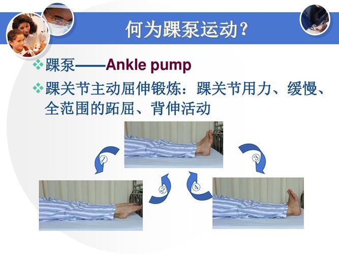踝泵运动ppt