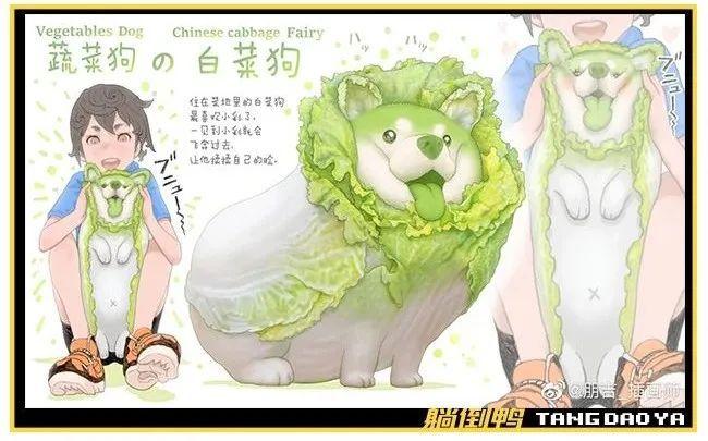 qq上线菜狗表情微信也能用