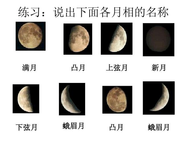 练习:说出下面各月相的名称 满月 凸月 上弦月 新月 下弦月 蛾眉月 凸