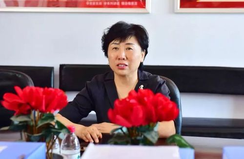 原创兴园专访辽阳高新区段艳玲书记快看看段书记说了啥