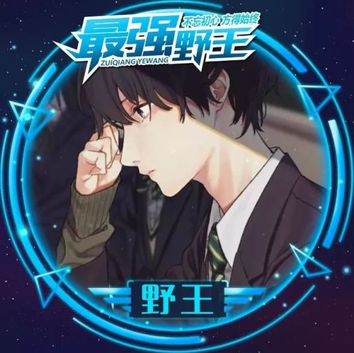 最强野王职业头像
