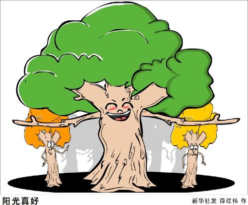 动漫卡通漫画设计,矢量矢量图素材头像900大树爷爷和小鸟《大树爷爷笑