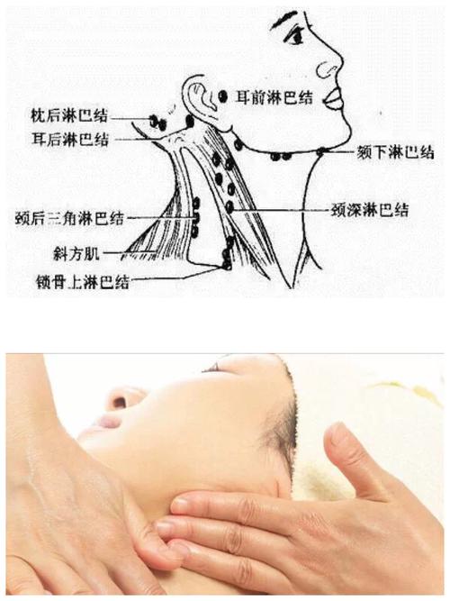 淋巴排毒,呵护您健康