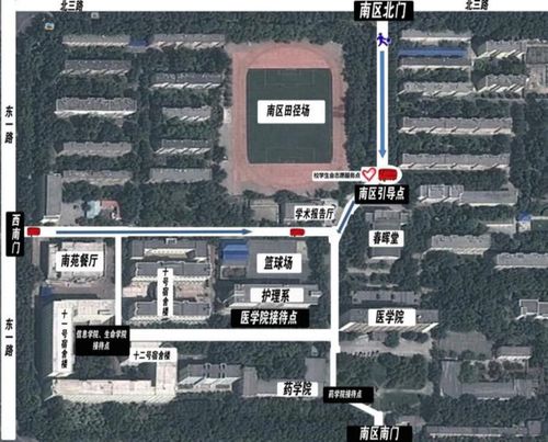 石河子大学南区平面图