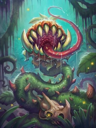 炉石传说:5朵危险的食人花,明年全都退环境,其中2朵是橙卡!