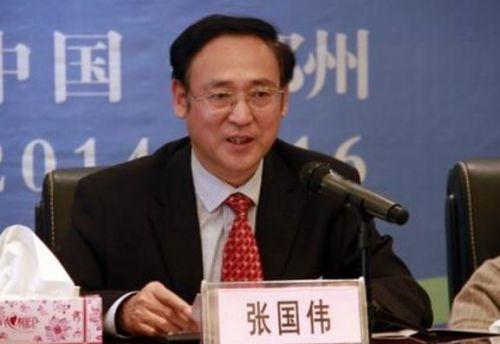 河南平顶山市长张国伟调任新乡市委书记 简历照片