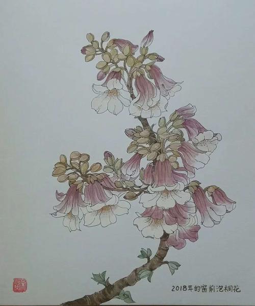 窗前的泡桐花 毕力力