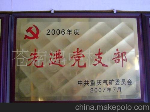 不锈钢钛金奖牌,铜牌腐蚀牌,先进党支部牌,先进单位
