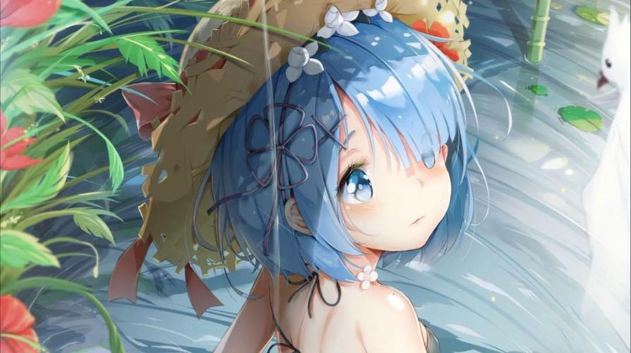 蕾姆~ - 堆糖,美图壁纸兴趣社区