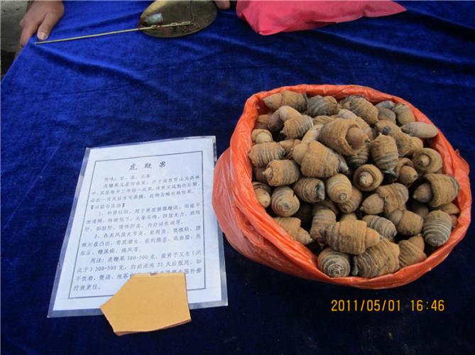 有名的虎鞭果