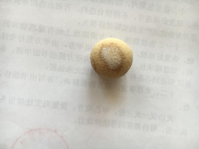 请问这个是猪砂吗