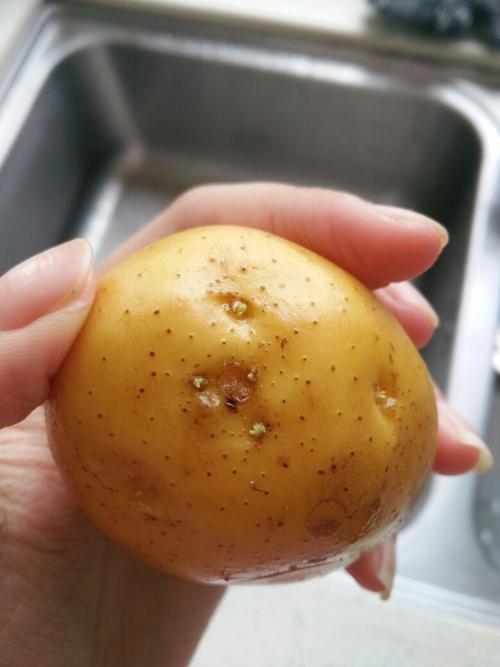 这算发芽的土豆吗还可以吃吗