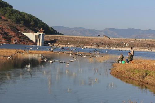 山西省沁源县:绿色立县 建设美丽沁源