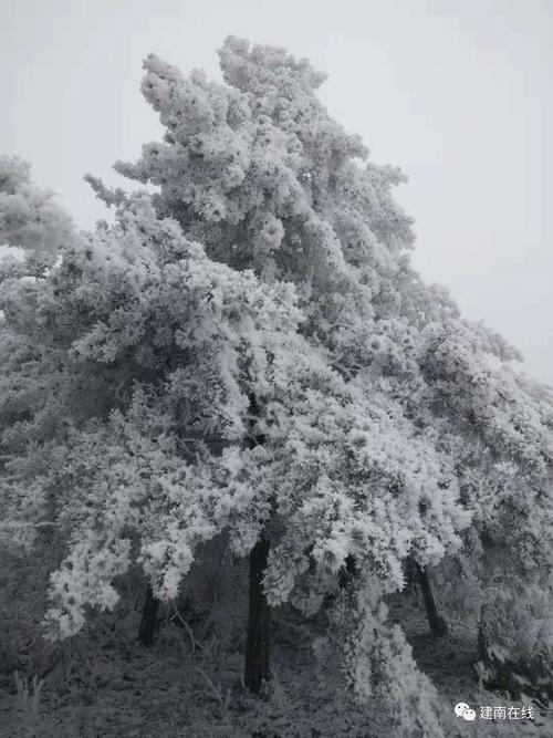 最新雪景照片来袭,太震撼了!_齐岳山