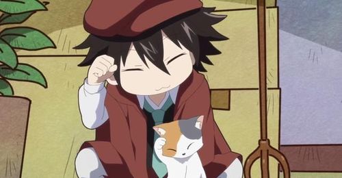 文豪野犬汪三三老师俘获武侦众人你喜欢乱步喵还是镜花喵