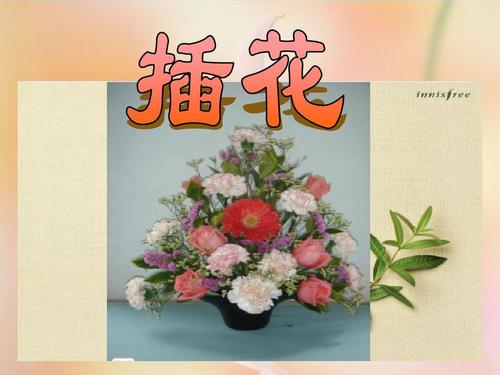 插花课件ppt