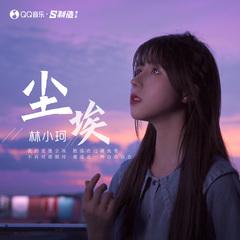 林小珂 - 尘埃