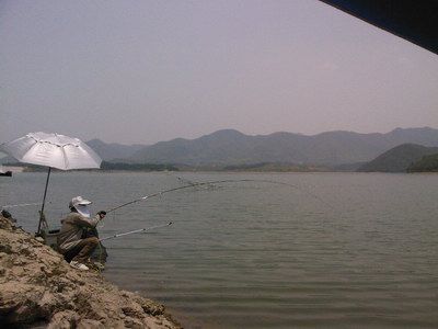 卢村水库解毒